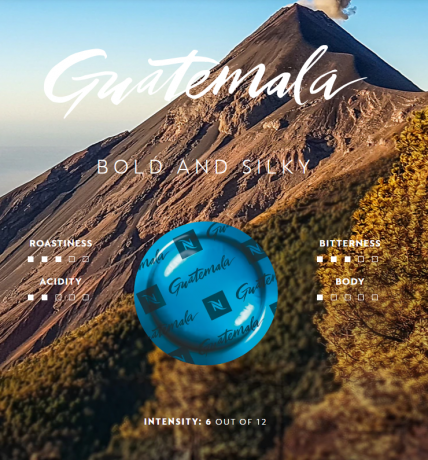 Professional Guatemala Professional кофе капсулы плоские (чалды), .
